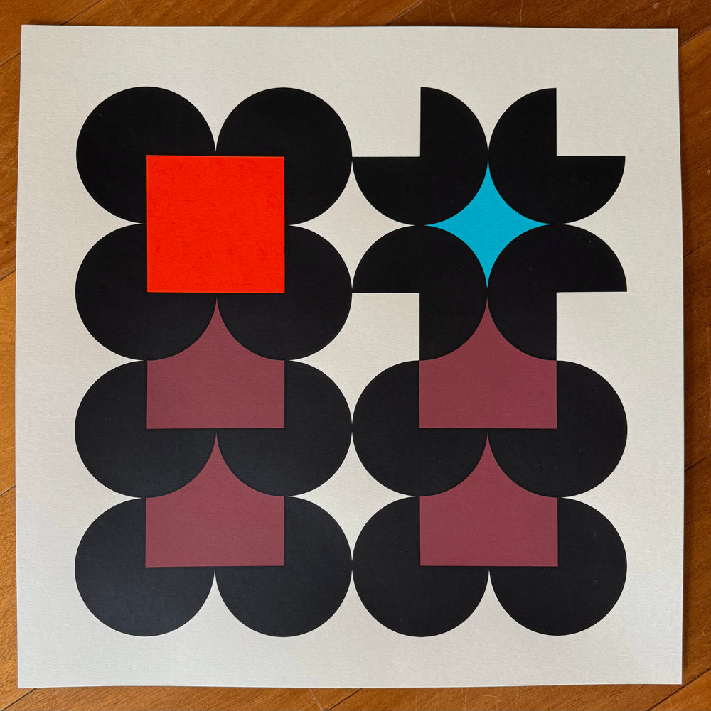 Environmental Enrichment Shapes - 'Screenprint'